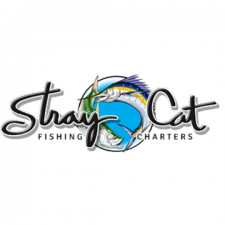 Stray Cat Charters